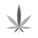 marijuana